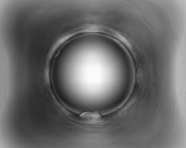 X0000099931464200805231220