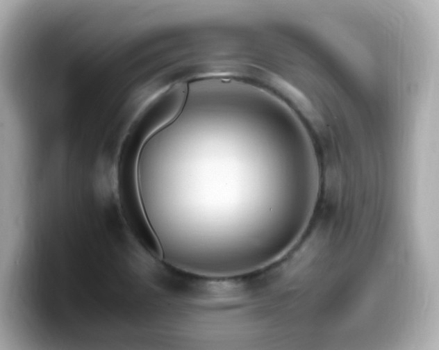 X0000099931465200805231220