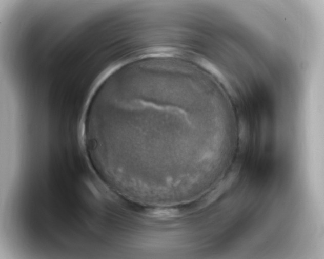 X0000099931466200805231220