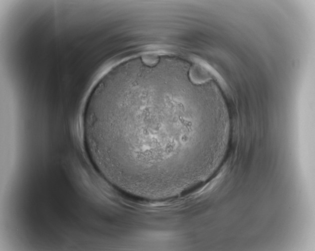 X0000099931467200805231220