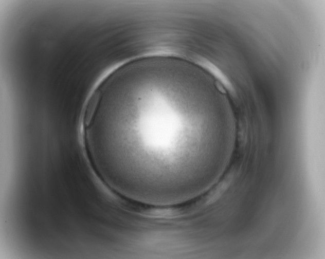 X0000099931468200805231220