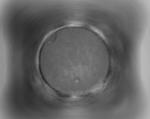 X0000099931471200805231220