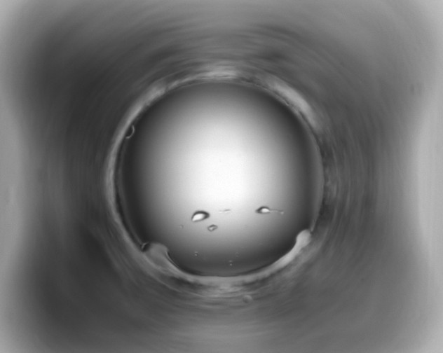 X0000099931475200805231220