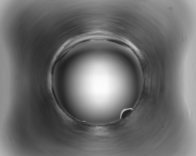 X0000099931476200805231220