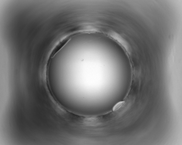 X0000099931477200805231220