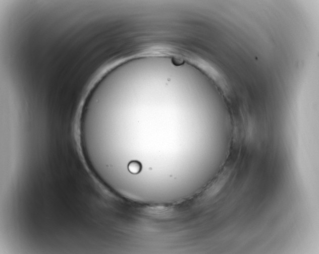 X0000099931478200805231220