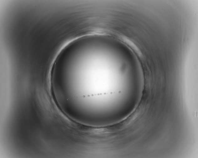 X0000099931479200805231220