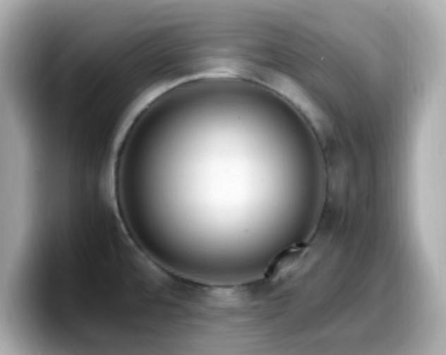 X0000099931480200805231220