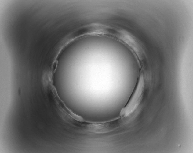 X0000099931481200805231220
