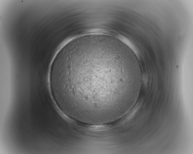X0000099931482200805231220