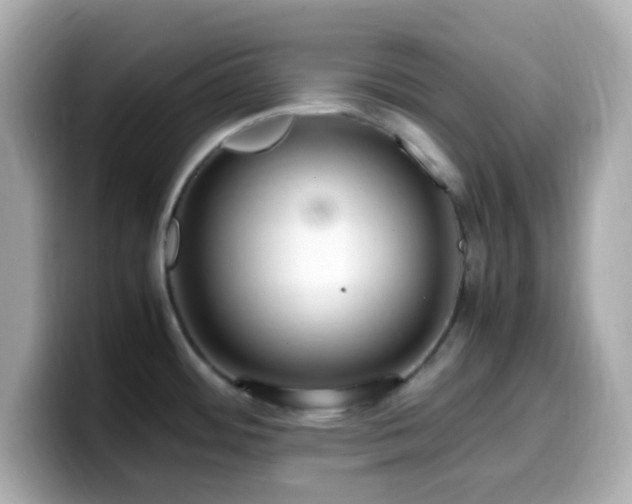 X0000099931484200805231220