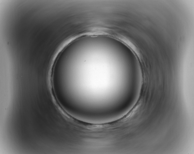 X0000099931485200805231220