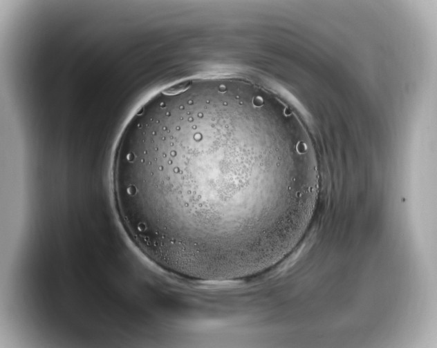 X0000099931487200805231219
