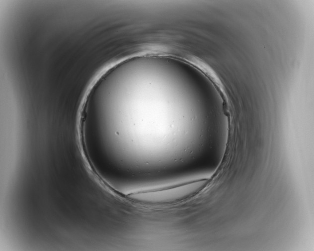 X0000099931488200805231219