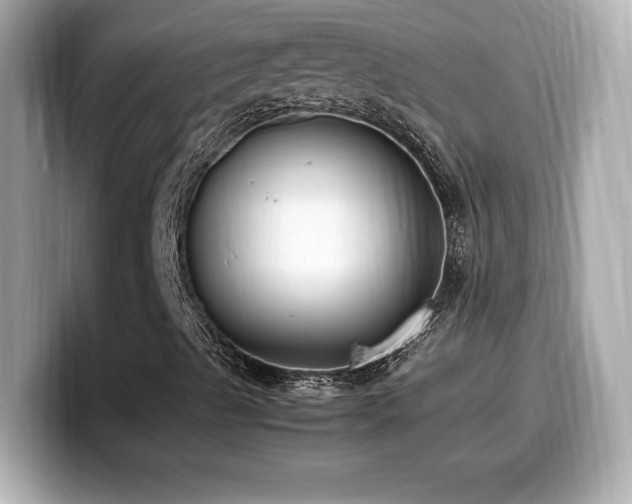X0000099931489200805231219