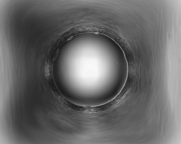 X0000099931490200805231219