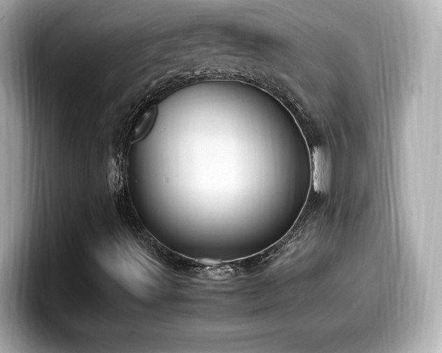 X0000099931491200805231219