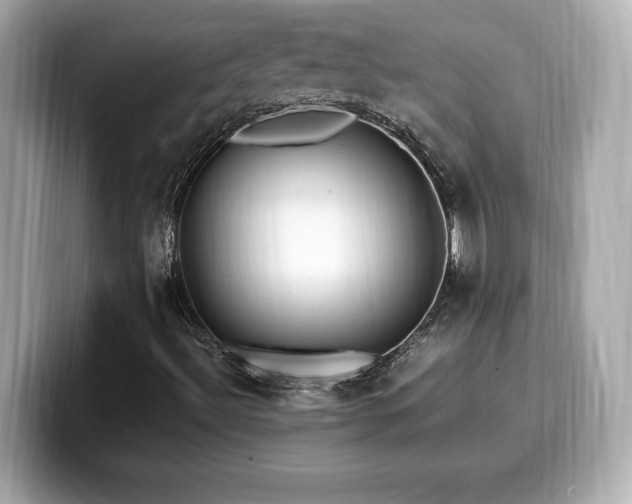 X0000099931492200805231219