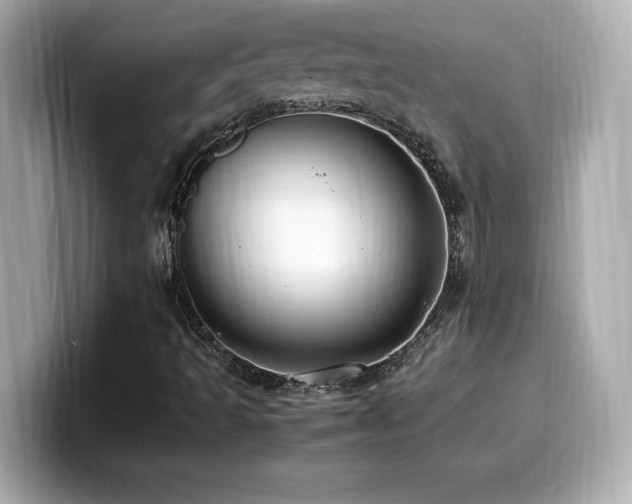 X0000099931493200805231219