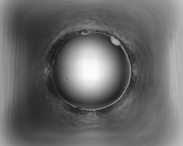 X0000099931495200805231219