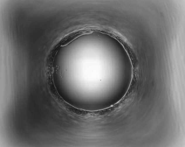 X0000099931496200805231219