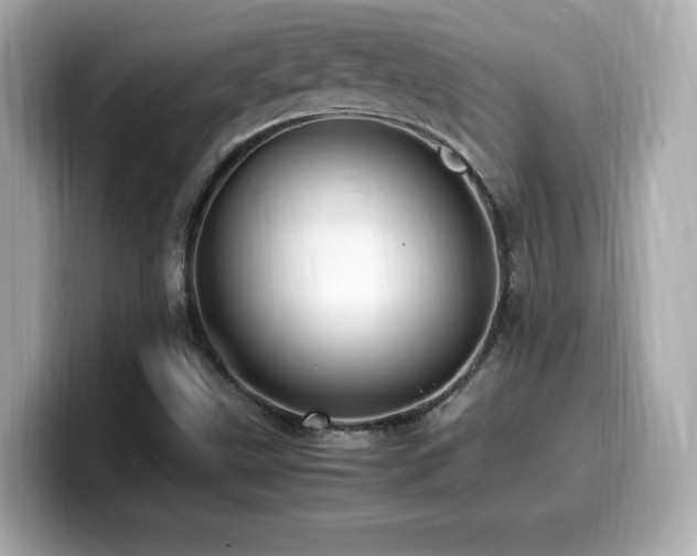 X0000099931499200805231219