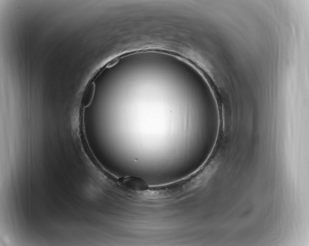 X0000099931500200805231219