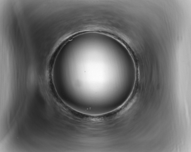 X0000099931501200805231219