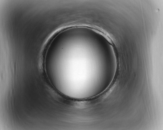 X0000099931502200805231219