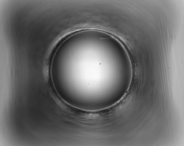 X0000099931503200805231219