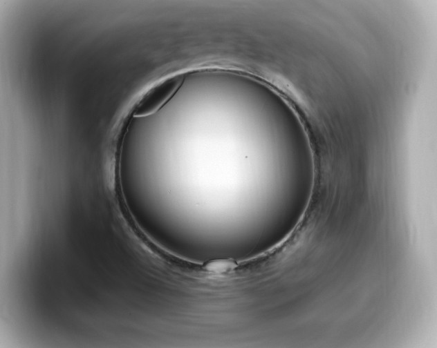X0000099931504200805231219