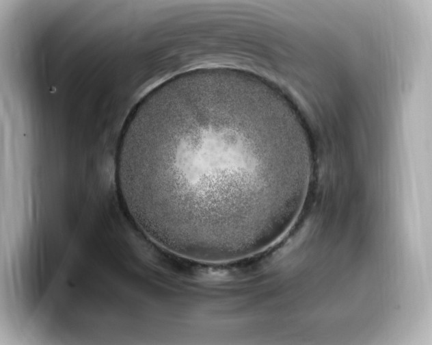 X0000099931505200805231219