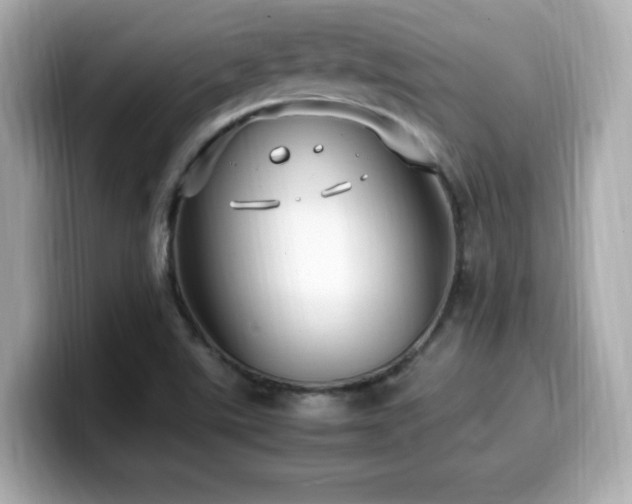 X0000099931507200805231219
