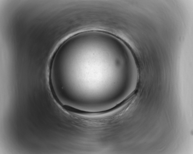 X0000099931508200805231219
