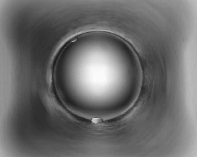 X0000099931511200805231219