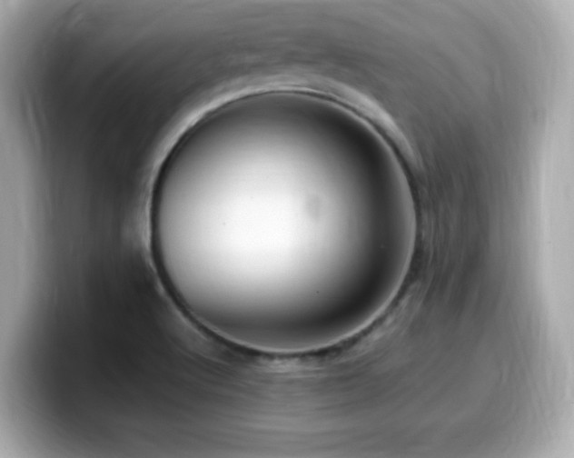 X0000099931512200805231219