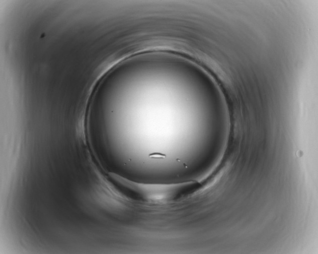 X0000099931513200805231219