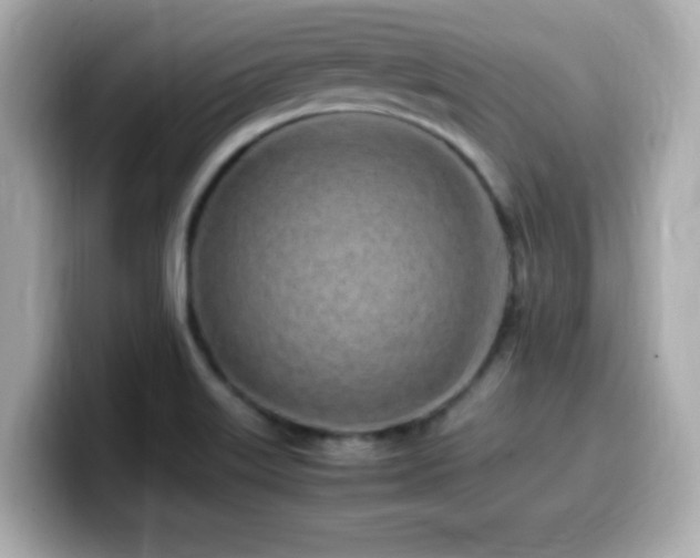 X0000099931515200805231219