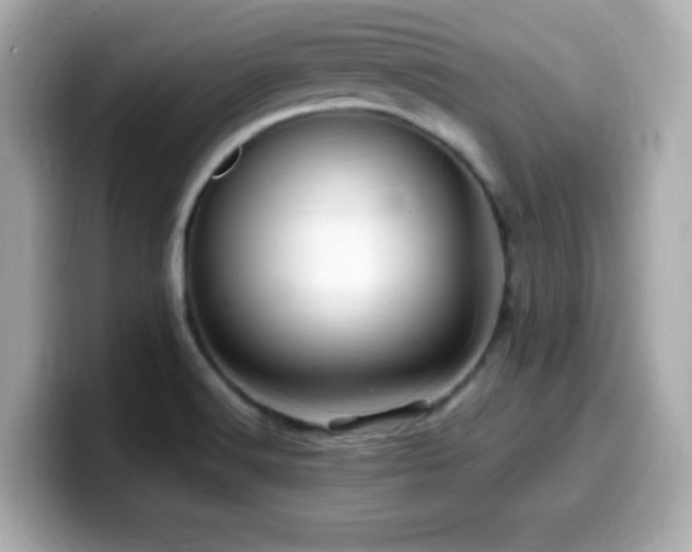 X0000099931516200805231219