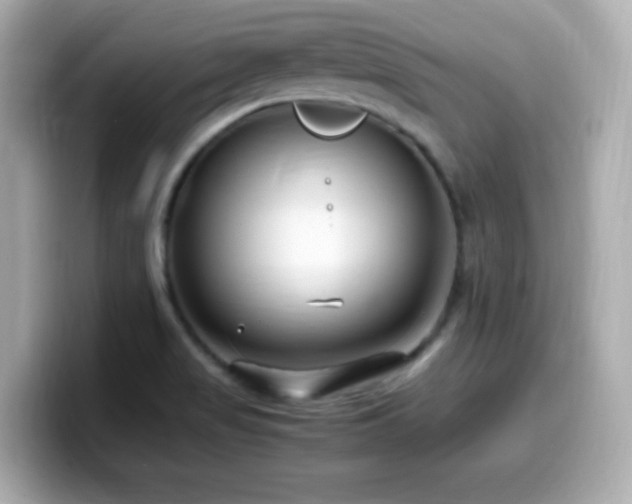 X0000099931517200805231219
