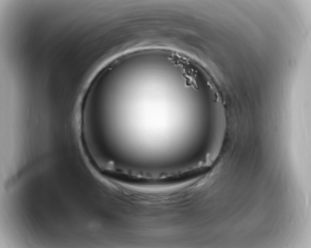 X0000099931519200805231219