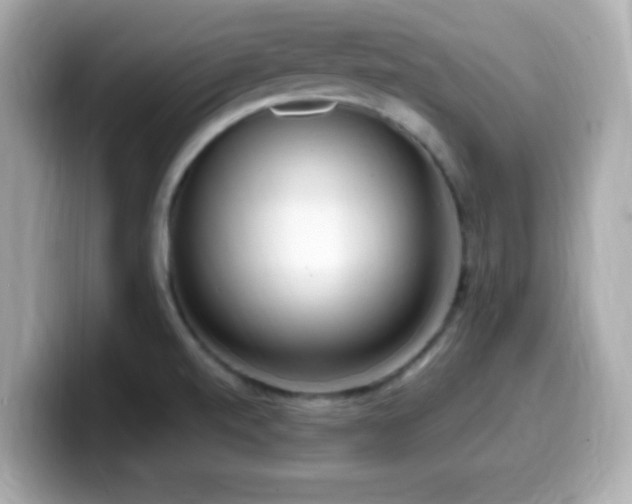 X0000099931520200805231219