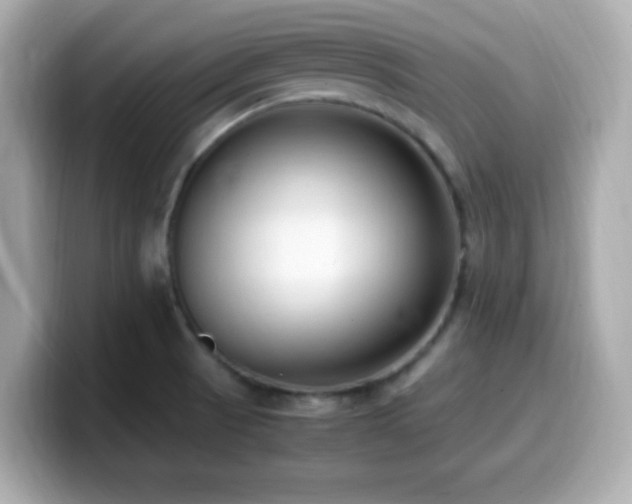 X0000099931521200805231219