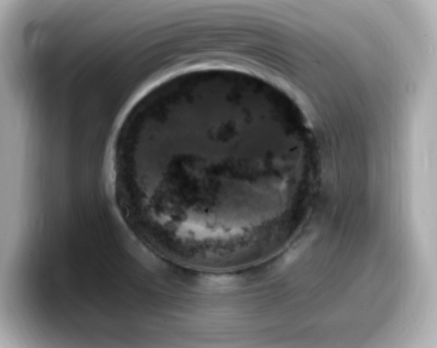 X0000099931522200805231219