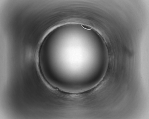 X0000099931523200805231219