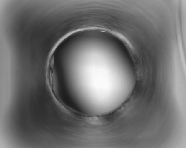 X0000099931524200805231219