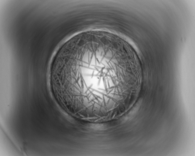 X0000099931525200805231219