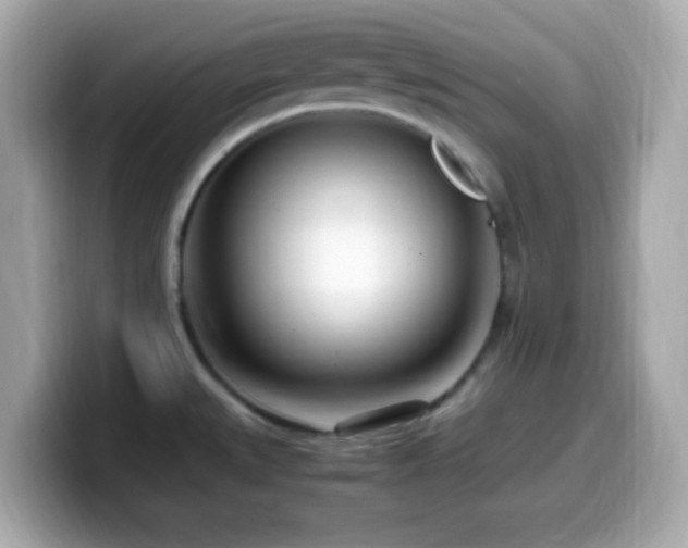 X0000099931527200805231219