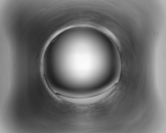 X0000099931528200805231219