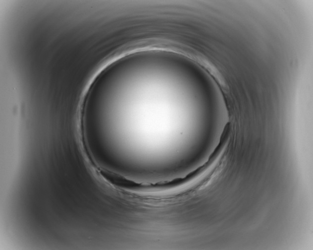 X0000099931530200805231219